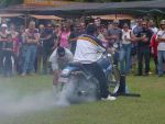 DSC00224.jpg