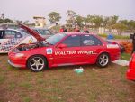 Bluey is sponsored by Walter Wright Cranes